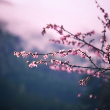 post-image-cultures-meditations-releasing-stress-2x