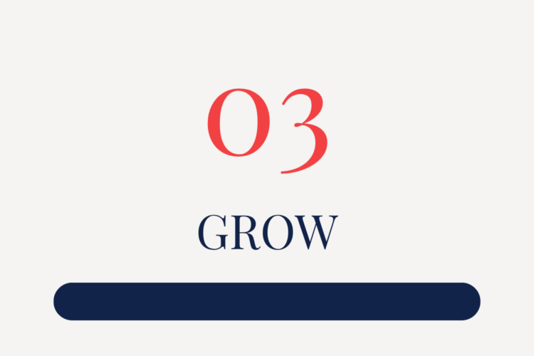 Red number 03 above the word GROW in navy, with a solid navy horizontal bar below, on a white background.